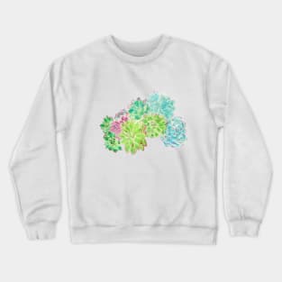 succulent arrangement watercolor painting Crewneck Sweatshirt